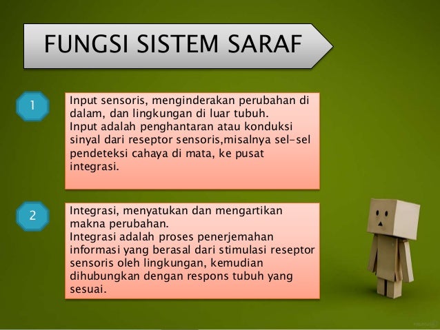 Perbedaan sistem saraf dengan sistem endokrin