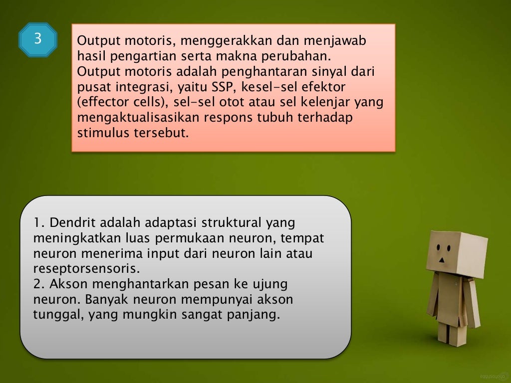 Perbedaan sistem saraf dengan sistem endokrin