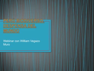 Webinar con William Vegazo
Muro
 
