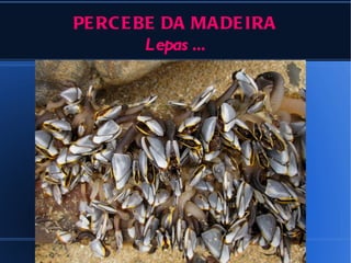 PE RC E BE DA MA DE IRA
         Lepas ...
 