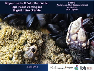 FOTOS:
Miguel Jesús Piñeiro Fernández   Adela Leiro, Mon Daporta, Internet
    Iago Padín Dominguez                    DEBUXOS:
                                           Mon Daporta
     Miguel Leiro Grande




               Xuño 2012
 