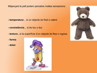 Mitjançant la pell podem percebre moltes sensacions:
- temperatura... si un objecte és fred o calent.
- consistència... si és tou o dur.
- textura...si la superfície d’un objecte és llisa o rugosa.
- forma
- dolor
 