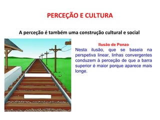 PERCEÇÃO E CULTURA 
A perceção é também uma construção cultural e social 
Ilusão de Ponzo 
Nesta ilusão, que se baseia na 
perspetiva linear, linhas convergentes 
conduzem à perceção de que a barra 
superior é maior porque aparece mais 
longe. 
 
