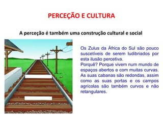 PERCEÇÃO E CULTURA 
A perceção é também uma construção cultural e social 
Os Zulus da África do Sul são pouco 
suscetíveis de serem ludibriados por 
esta ilusão percetiva. 
Porquê? Porque vivem num mundo de 
espaços abertos e com muitas curvas. 
As suas cabanas são redondas, assim 
como as suas portas e os campos 
agrícolas são também curvos e não 
retangulares. 
 