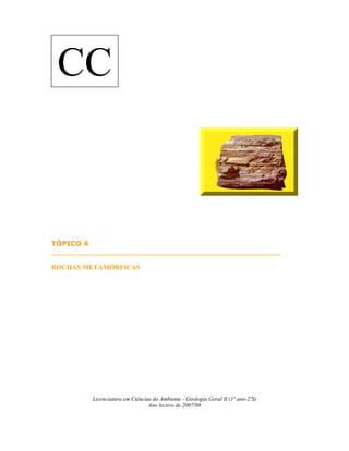 CC



TÓPICO 4
___________________________________________________________________

ROCHAS METAMÓRFICAS




            Licenciatura em Ciências do Ambiente - Geologia Geral II (1º ano-2ºS)
                                   Ano lectivo de 2007/08
 