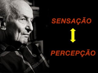 SENSAÇÃO PERCEPÇÃO 