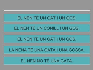 LA NENA TÉ UNA GATA I UNA GOSSA.
EL NEN TÉ UN GAT I UN GOS.
EL NEN TÉ UN CONILL I UN GOS.
EL NEN TÉ UN GAT I UN GOS.
EL NEN NO TÉ UNA GATA.
 