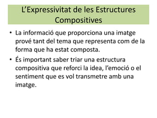 L’Expressivitat de les Estructures
              Compositives
• La informació que proporciona una imatge
  prové tant del tema que representa com de la
  forma que ha estat composta.
• És important saber triar una estructura
  compositiva que reforci la idea, l’emoció o el
  sentiment que es vol transmetre amb una
  imatge.
 