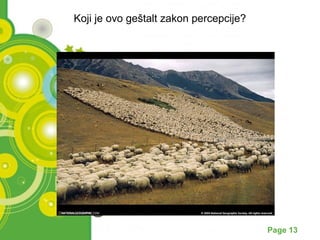 Koji je ovo geštalt zakon percepcije? 
Powerpoint Templates Page 13 
 