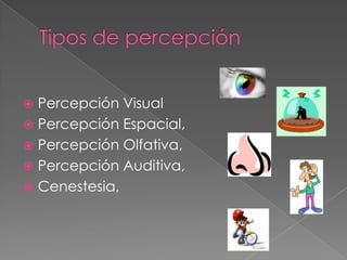 Tipos de percepción <br />Percepción Visual<br />Percepción Espacial, <br />Percepción Olfativa, <br />Percepción Auditiva...