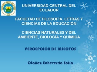 UNIVERSIDAD CENTRAL DEL
ECUADOR
FACULTAD DE FILOSOFÍA, LETRAS Y
CIENCIAS DE LA EDUCACIÓN
CIENCIAS NATURALES Y DEL
AMBIENTE, BIOLOGÍA Y QUÍMICA

PERCEPCIÓN DE INSECTOS
Otañez Echeverría Sofía

 