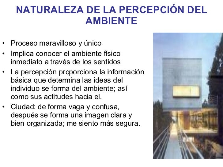 PercepcióN Del Ambiente