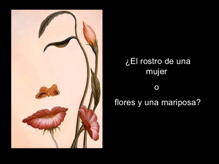 ¿El rostro de una mujer  o  flores y una mariposa? 