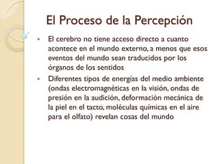 1. Estímulo Distal
Es el estímulo del medio exterior.
Se denomina distal porque es el estímulo a
distancia.
 