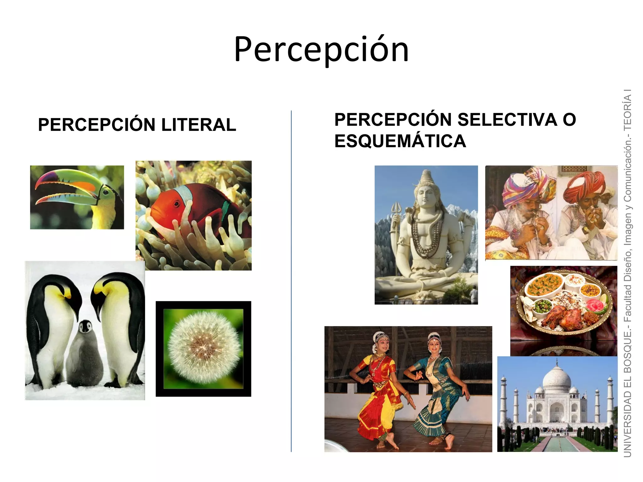 PERCEPCIÓN LITERAL
                                                                                         Percepción

                                                            ESQUEMÁTICA
                                                            PERCEPCIÓN SELECTIVA O




UNIVERSIDAD EL BOSQUE.- Facultad Diseño, Imagen y Comunicación.- TEORÍA I
 