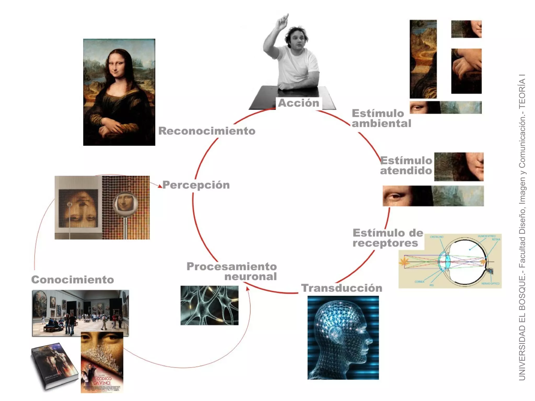 UNIVERSIDAD EL BOSQUE.- Facultad Diseño, Imagen y Comunicación.- TEORÍA I
 