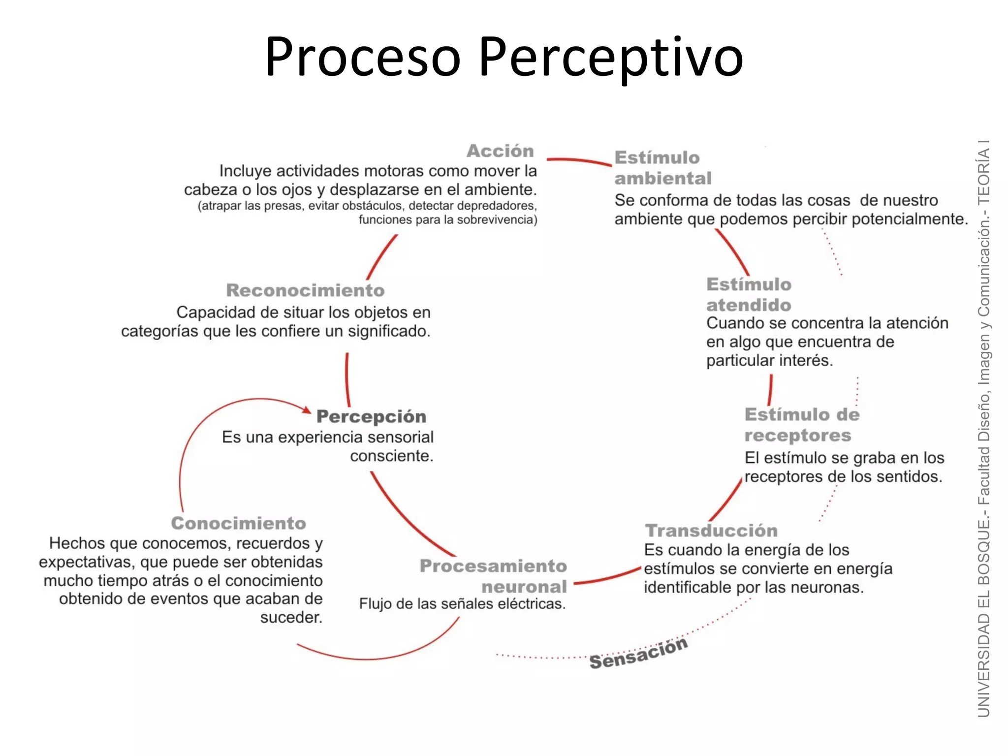 Proceso Perceptivo




UNIVERSIDAD EL BOSQUE.- Facultad Diseño, Imagen y Comunicación.- TEORÍA I
 