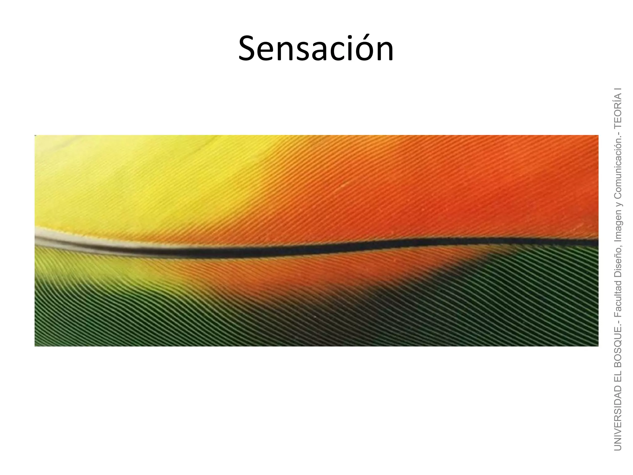 Sensación




UNIVERSIDAD EL BOSQUE.- Facultad Diseño, Imagen y Comunicación.- TEORÍA I
 