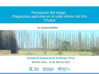 Percepción del riesgo:
Plaguicidas agrícolas en el valle inferior del Río
Chubut
Jornada de Comunicación de Riesgo / Crisis
Buenos Aires - 14 de abril de 2016
Lic. Luciana Antolini
 