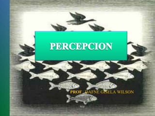 PERCEPCION PROF . DAFNE GISELA WILSON 