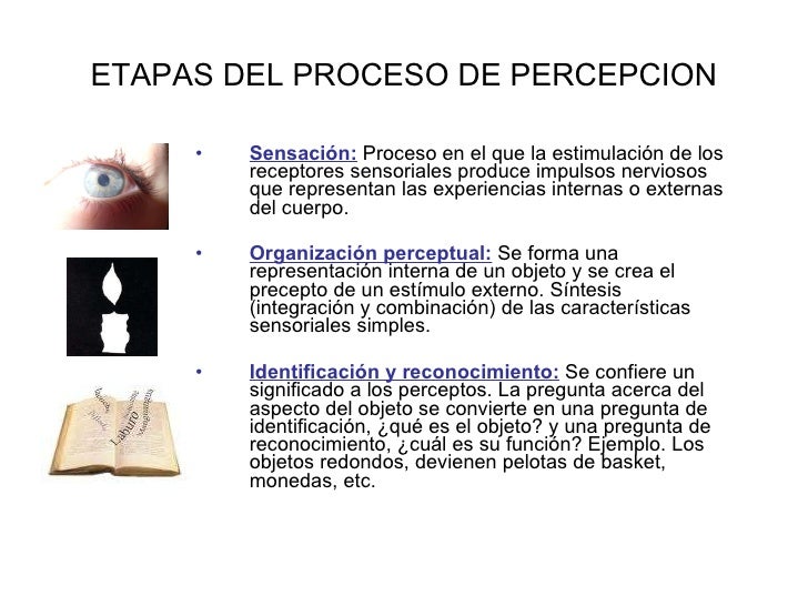 Percepción Parte 1
