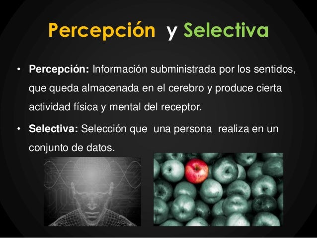 Watch full movie Memoria Selectiva in english with subtitles QHD