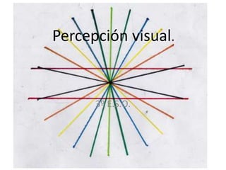 Percepción visual.
3º E.S.O.
 