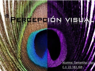 *Percepción visual
*Alumna: Samantha Lugo
*C.I: 22.183.169
 