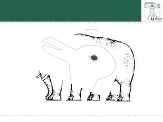 Percepción visual generalidades