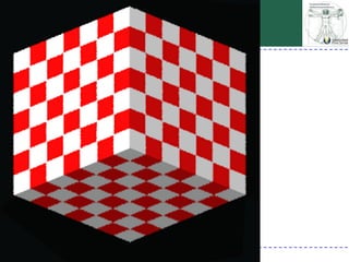 Percepción visual generalidades