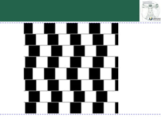 Percepción visual generalidades