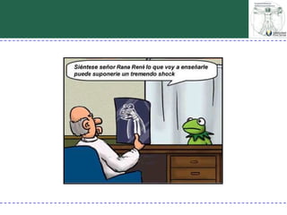 Percepción visual generalidades