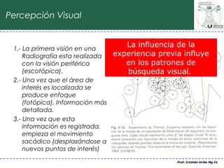 Percepción Visual


 1.- La primera visión en una
                                      La influencia de la
     Radiografía esta realizada    experiencia previa influye
     con la visión periférica         en los patrones de
     (escotópica).                    búsqueda visual.
 2.- Una vez que el área de
     interés es localizada se
     produce enfoque
     (fotópica). Información más
     detallada.
 3.- Una vez que esta
     información es registrada,
     empieza el movimiento
     sacádico (desplazándose a
     nuevos puntos de interés)
                                                    Prof. Cristián Uribe Mg Cs
 