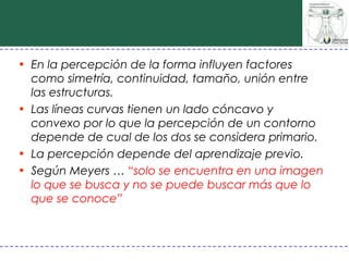 • En la percepción de la forma influyen factores
  como simetría, continuidad, tamaño, unión entre
  las estructuras.
• Las líneas curvas tienen un lado cóncavo y
  convexo por lo que la percepción de un contorno
  depende de cual de los dos se considera primario.
• La percepción depende del aprendizaje previo.
• Según Meyers … “solo se encuentra en una imagen
  lo que se busca y no se puede buscar más que lo
  que se conoce”
 