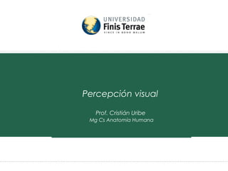 Percepción visual

   Prof. Cristián Uribe
 Mg Cs Anatomía Humana
 