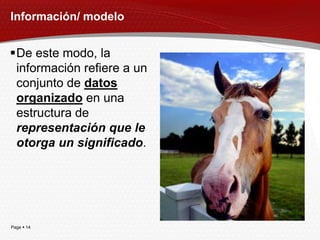 Información/ modelo


De este modo, la
 información refiere a un
 conjunto de datos
 organizado en una
 estructura de
 representación que le
 otorga un significado.




Page  14
 