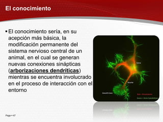 El conocimiento


 El conocimiento sería, en su
  acepción más básica, la
  modificación permanente del
  sistema nervioso central de un
  animal, en el cual se generan
  nuevas conexiones sinápticas
  (arborizaciones dendríticas)
  mientras se encuentra involucrado
  en el proceso de interacción con el
  entorno



Page  47
 