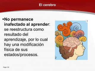 El cerebro



No permanece
 inafectado al aprender:
 se reestructura como
 resultado del
 aprendizaje, por lo cual
 hay una modificación
 física de sus
 estados/procesos.

Page  52
 