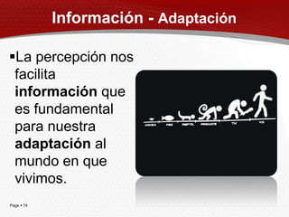 Información - Adaptación

La percepción nos
 facilita
 información que
 es fundamental
 para nuestra
 adaptación al
 mundo en que
 vivimos.
Page  74
 