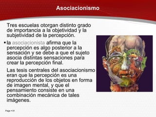 Asociacionismo


  Tres escuelas otorgan distinto grado
  de importancia a la objetividad y la
  subjetividad de la percepción.
 la asociacionista afirma que la
  percepción es algo posterior a la
  sensación y se debe a que el sujeto
  asocia distintas sensaciones para
  crear la percepción final.
  Las tesis centrales del asociacionismo
  eran que la percepción es una
  reproducción de los objetos en forma
  de imagen mental, y que el
  pensamiento consiste en una
  combinación mecánica de tales
  imágenes.
Page  81
 