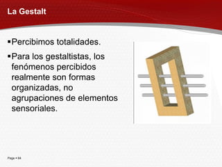 La Gestalt


Percibimos totalidades.
Para los gestaltistas, los
 fenómenos percibidos
 realmente son formas
 organizadas, no
 agrupaciones de elementos
 sensoriales.




Page  84
 