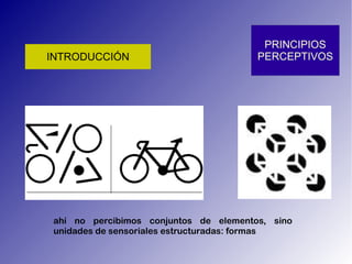 ahí no percibimos conjuntos de elementos, sino unidades de sensoriales estructuradas: formas 