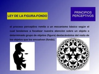 el proceso perceptivo remite a un mecanismo básico según el cual tendemos a focalizar nuestra atención sobre un objeto o determinado grupo de objetos (figura) destacándolos del resto de los objetos que los envuelven (fondo). 