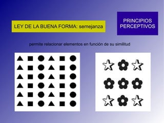permite relacionar elementos en función de su similitud 