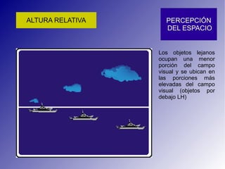 Los objetos lejanos ocupan una menor porción del campo visual y se ubican en las porciones más elevadas del campo visual (objetos por debajo LH) 