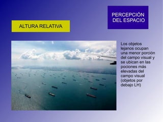 Los objetos lejanos ocupan una menor porción del campo visual y se ubican en las pociones más elevadas del campo visual (objetos por debajo LH) 