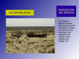 Los objetos lejanos ocupan una menor porción del campo visual y se ubican en las pociones más elevadas del campo visual (objetos por debajo LH) 
