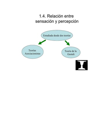 Percepcion