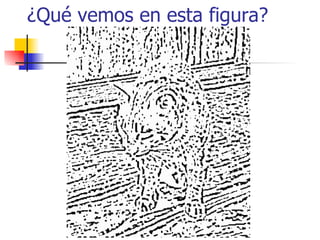 ¿Qué vemos en esta figura? 