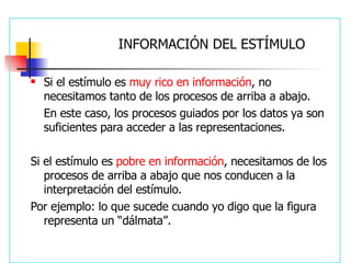 INFORMACIÓN DEL ESTÍMULO Si el estímulo es  muy rico en información , no necesitamos tanto de los procesos de arriba a abajo.  En este caso, los procesos guiados por los datos ya son suficientes para acceder a las representaciones. Si el estímulo es  pobre en información , necesitamos de los procesos de arriba a abajo que nos conducen a la interpretación del estímulo.  Por ejemplo: lo que sucede cuando yo digo que la figura representa un “dálmata”. 